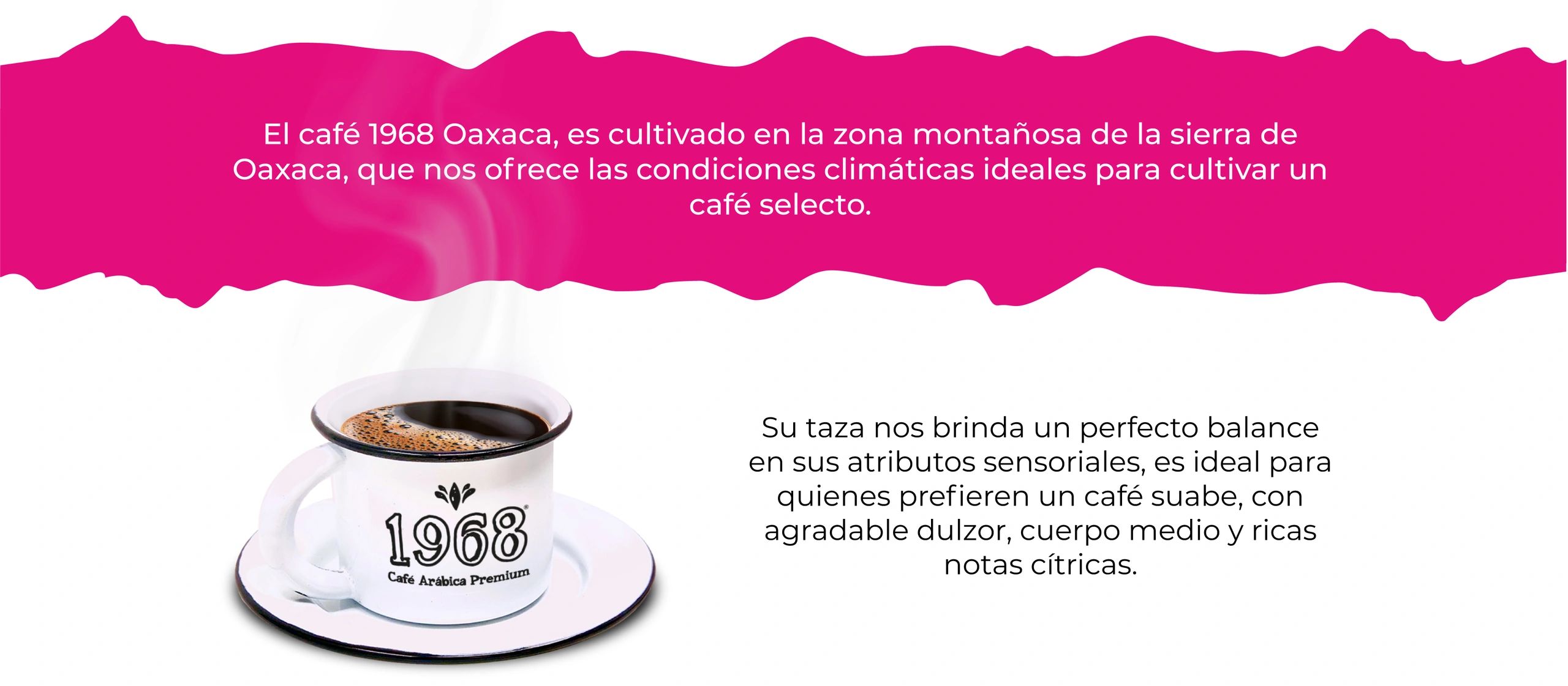 Café certificado Rainforest, café de oaxaca, café suave con sabor a miel de caña y acidez ligera