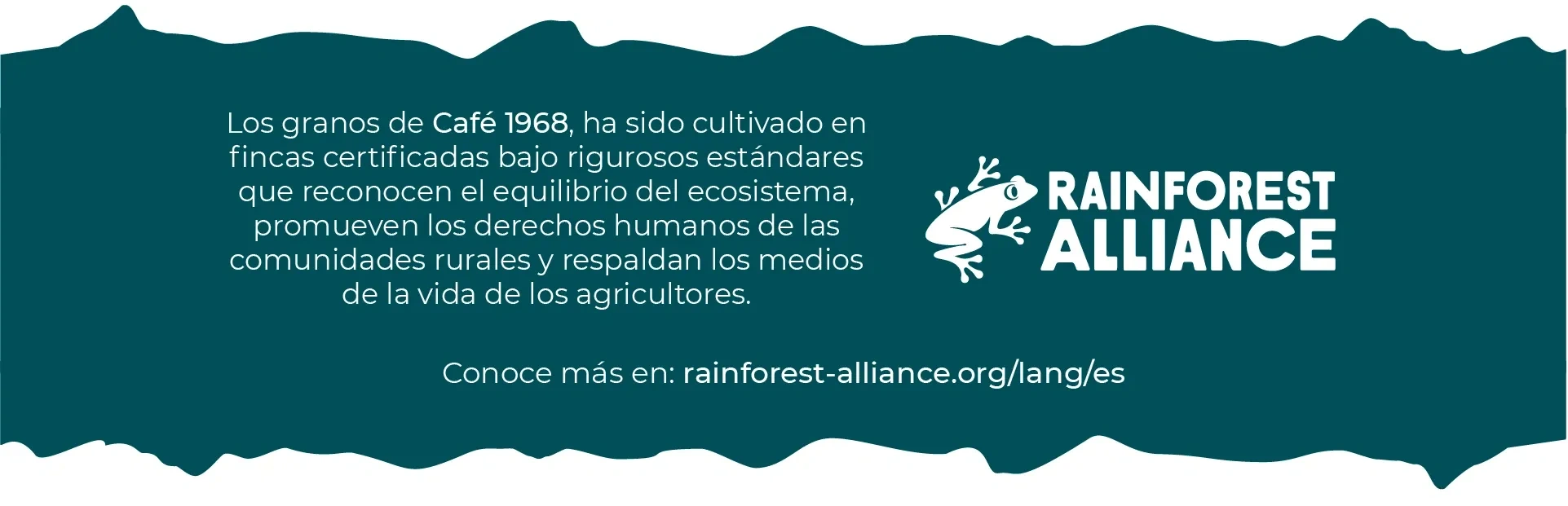 Café arábica con certificacion rainforest, mezcla de cafés de chiapas, de oaxaca y de veracruz