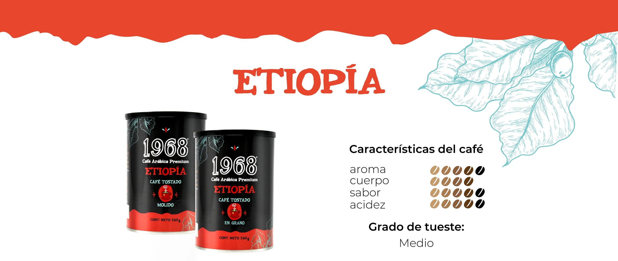 Café originario de Etiopia, taza de café compleja con aroma y sabor intenso, acidez cítrica y frutal