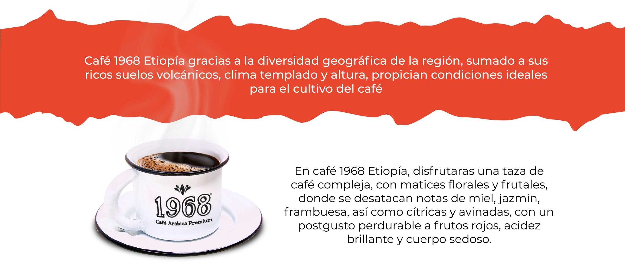 Café originario de Etiopia, taza de café compleja con aroma y sabor intenso, acidez cítrica y frutal