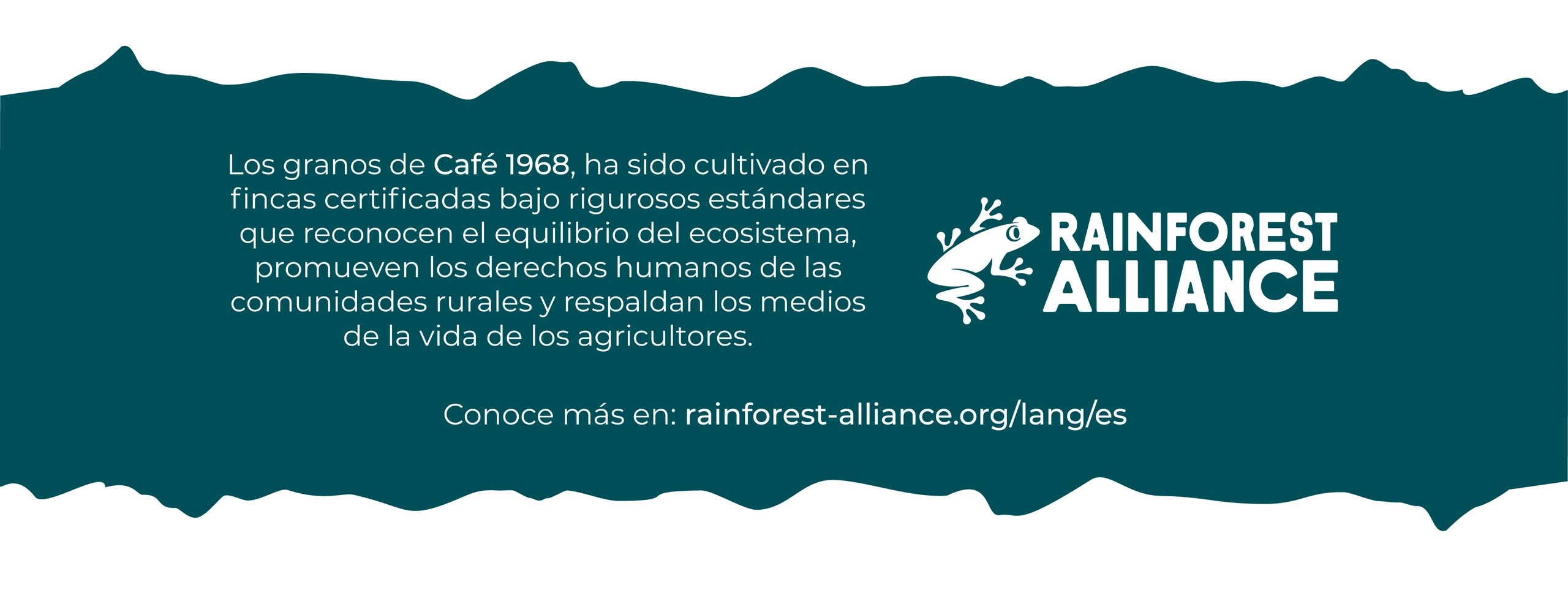 Café certificado Rainforest, Café de Veracruz, café de huatusco, taza aromática con buena acidez