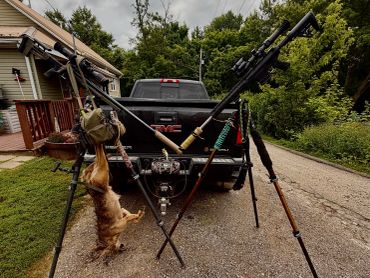 Hunting rifles and a dead animal displayed behind a truck.