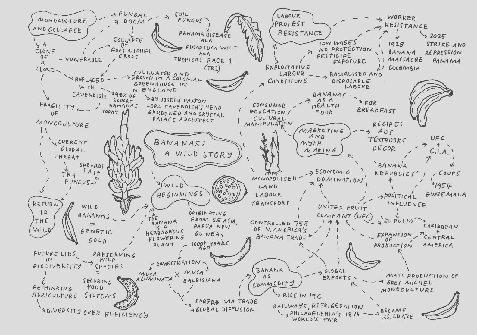 Mind map about bananas covering history, monoculture, and labor issues.