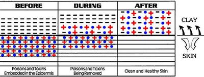 How Aztec Healing Clay Works