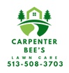 carpenter bees lawn care