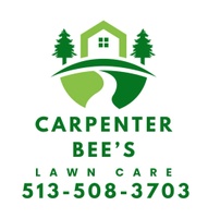 carpenter bees lawn care