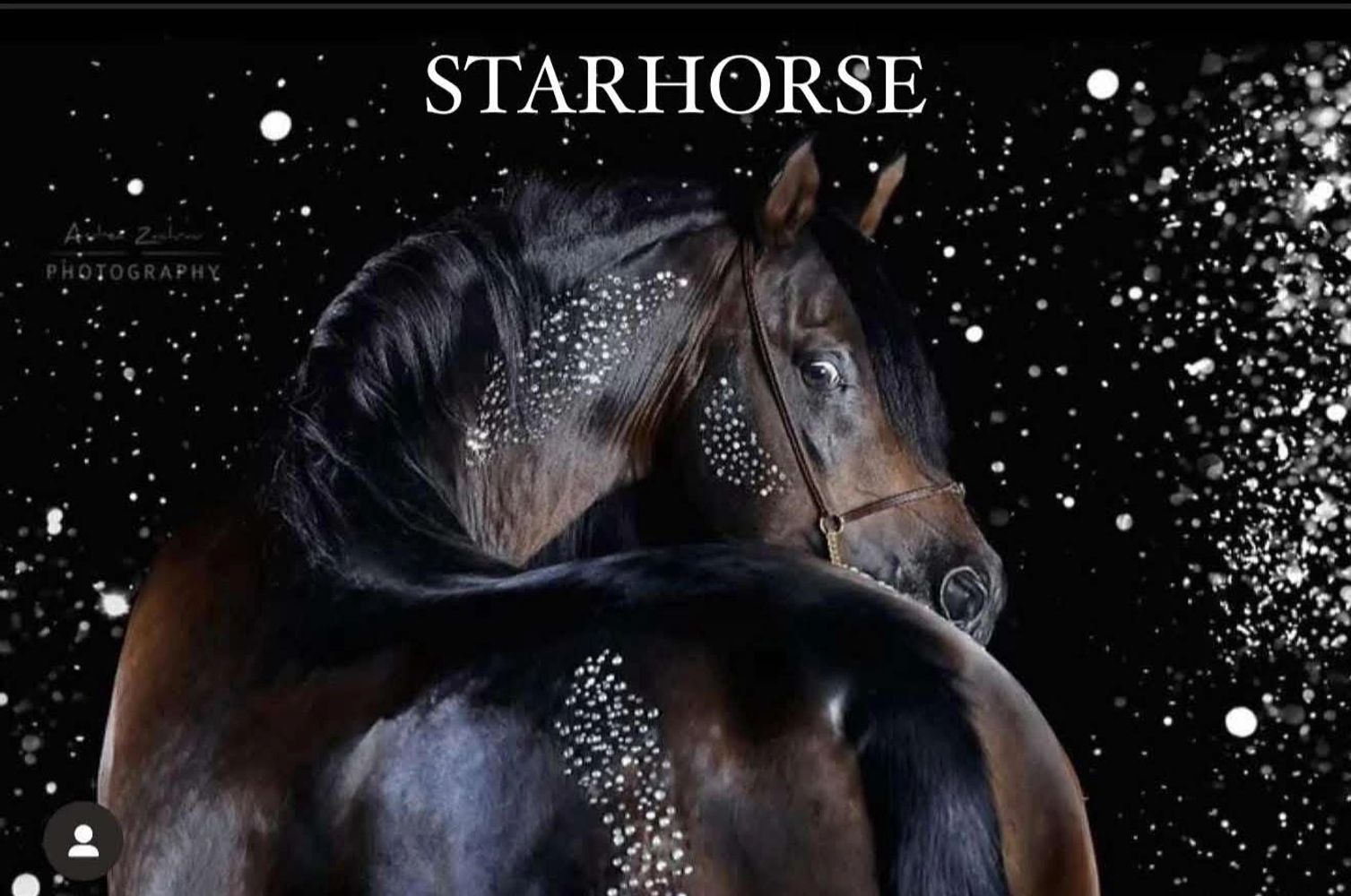 A dark horse with sparkling star-like spots against a starry background titled 'STARHORSE'.