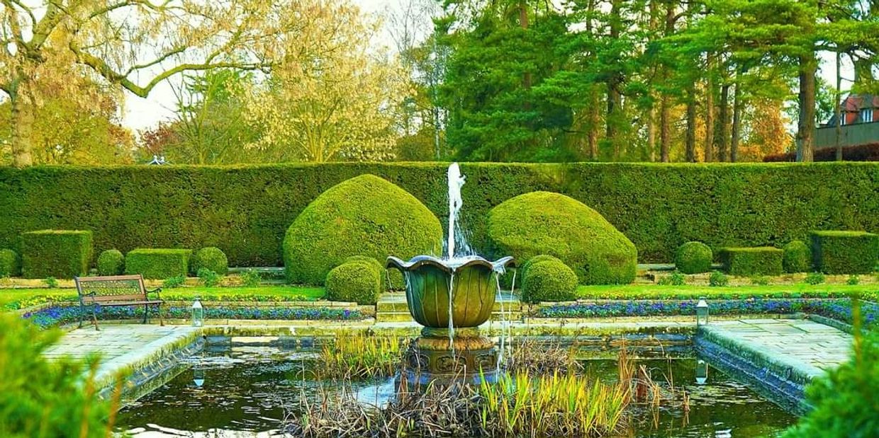 Professional Cedar Hedge Services in Barrhaven (K2J) |Farm-Direct Services Stonebridge | Cedars SD&G