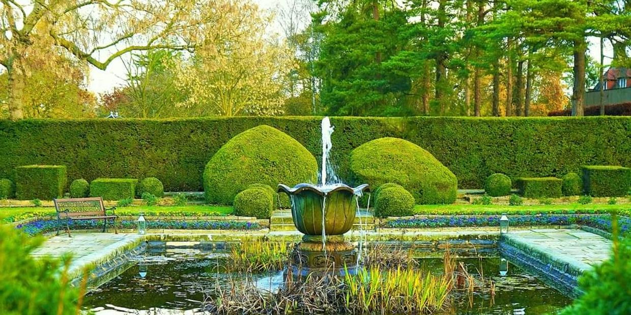 Professional Farm-Direct Cedar Hedge Sales & Installation Nepean K2G Tanglewood | Cedars SDG Experts