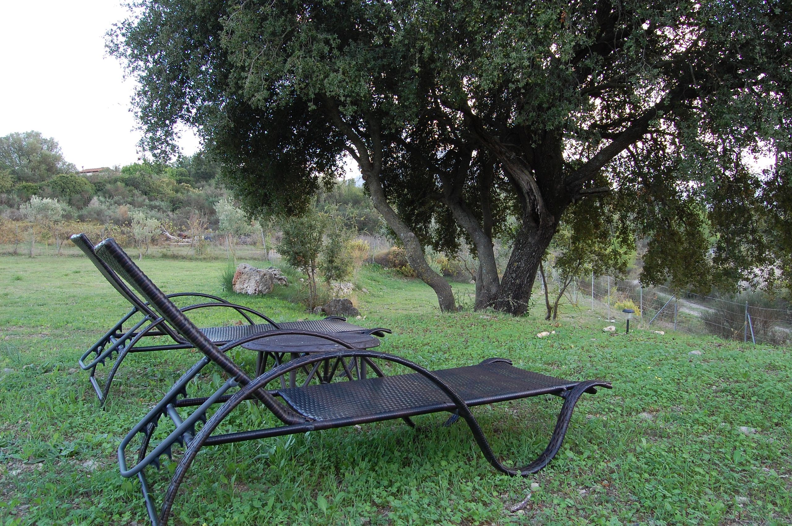 Blue Lagoon Villas Garden