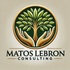 Matos Lebron Consulting