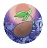 Art of Peaceful Healing LLC