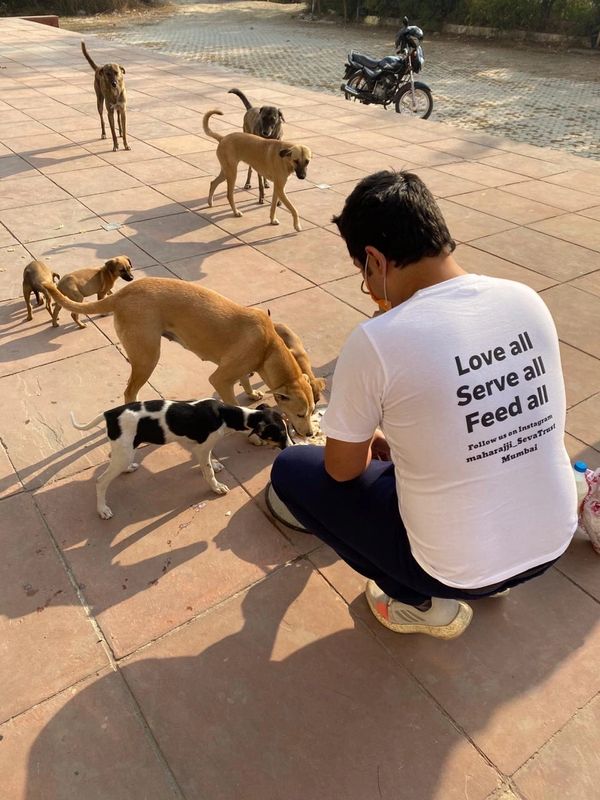 Maharaj ji sewa trust team member is feeding stray dogs. 