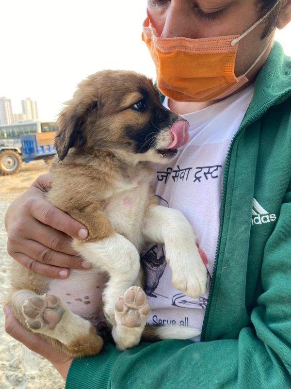 Maharaj ji sewa trust team member holding a puppy in his hand 
