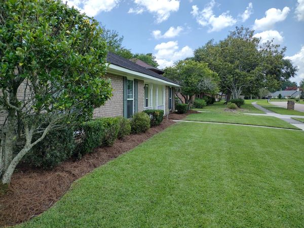 Eco-friendly yard cleanup and debris removal services.