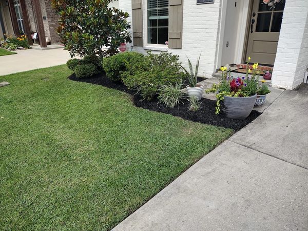 Expert tree pruning and maintenance services to promote tree health.
