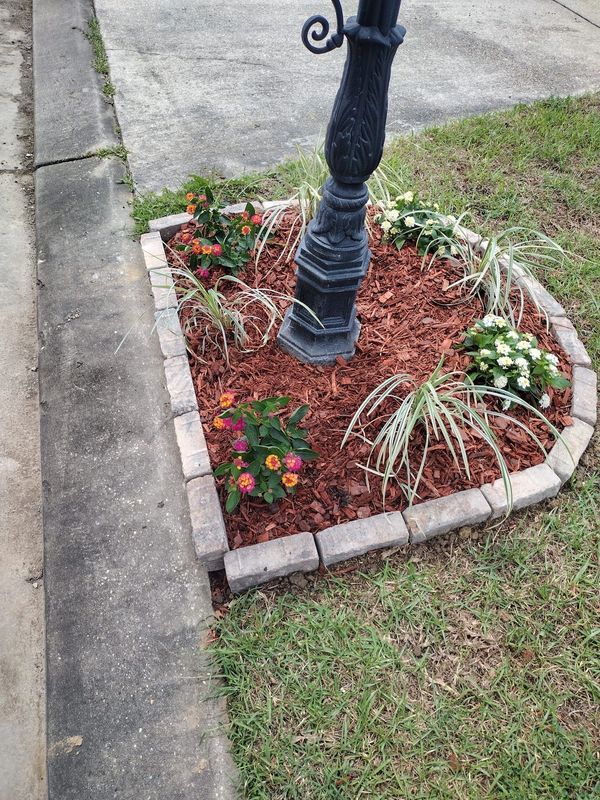 Pristine garden beds enhanced with mulch for optimal plant health and aesthetics.