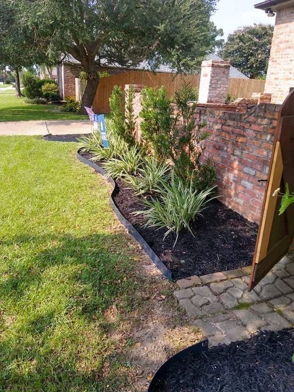 Expertise in drought-tolerant landscaping solutions for water conservation.