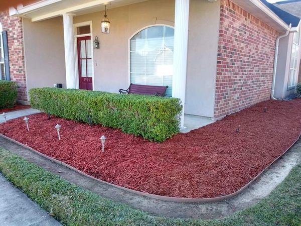 Professional fertilization treatments to nourish your lawn and plants.