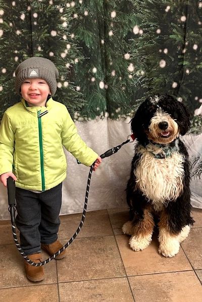  Young child walking a Bernedoodle after dog training in New Jersey