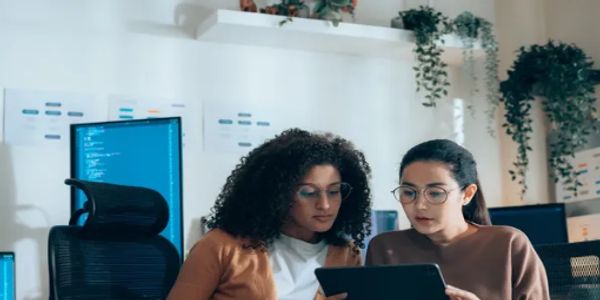 NIKTEK LLC consulting with Client