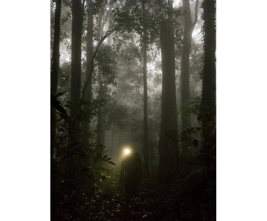 Person with headlamp in misty forest at night.