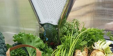 Grönsaker och örter i säsong