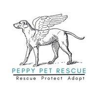Peppy Pet Rescue