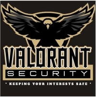 Valorant Security NZ