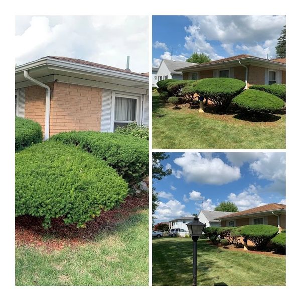 Well-maintained bushes and green lawn around a brick house under a blue sky.