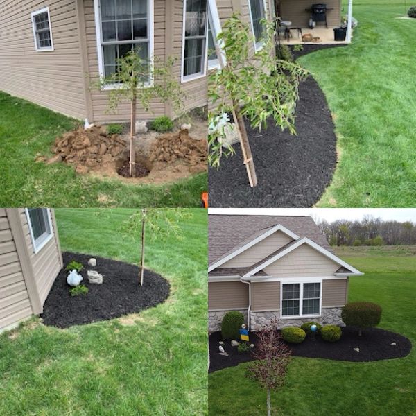 Four images showing the process of planting and landscaping with mulch around a house.