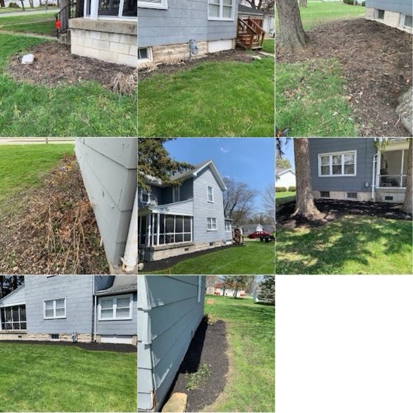 Before and after landscaping with fresh mulch around a blue house.