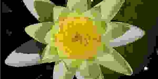 image504