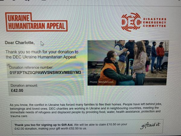 screen shot of donation acknowledgment