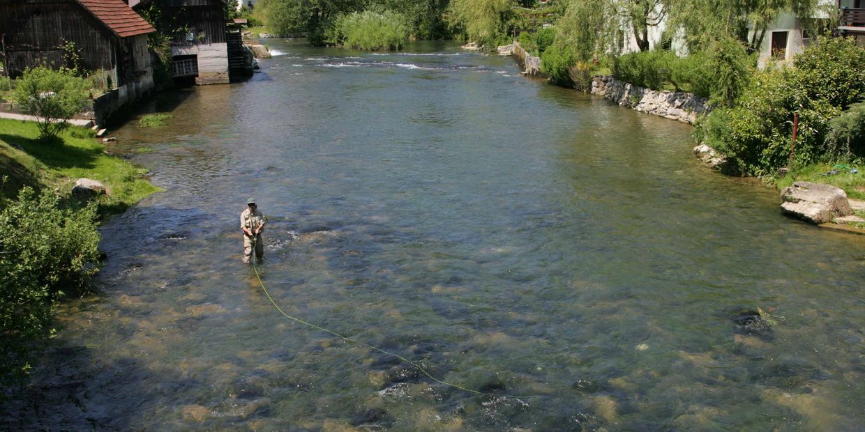 Krka River fly fishing destination in Slovenia. Water Man Adventures