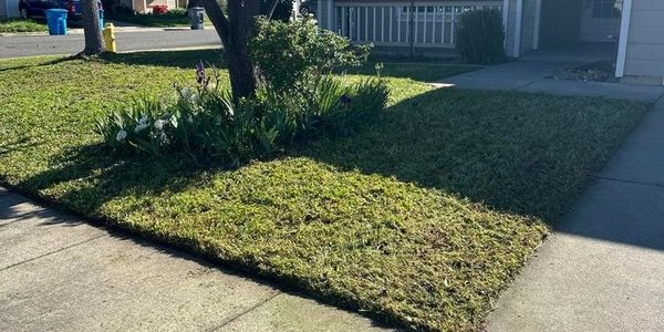 Front yard after mowing. Post yard service photo.