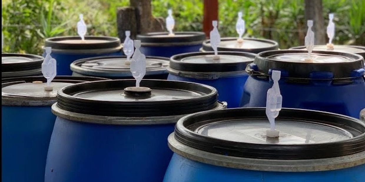 Blue barrels with airlocks on outdoor wooden shelf.