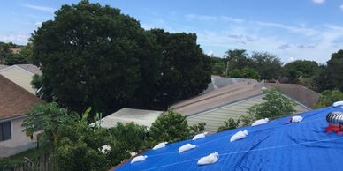 Roof Tarping, Emergency Roof Repair conducted by our 24 hour emergency board up service technicians.