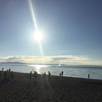 Silhouettes of people enjoying a sunny beach with calm ocean and distant islands.