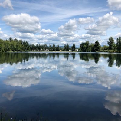 Calm lake reflecting clouds and trees on a sunny day.