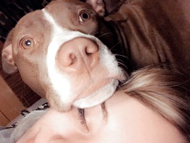 dog cute