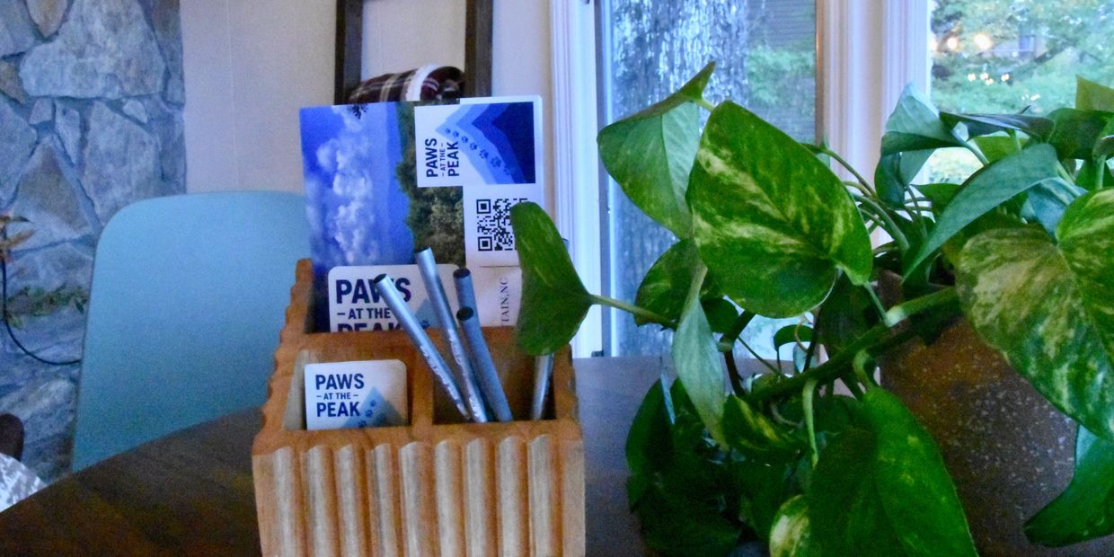 Wooden organizer with pens and Paws at the Peak postcards on a table near a green plant.