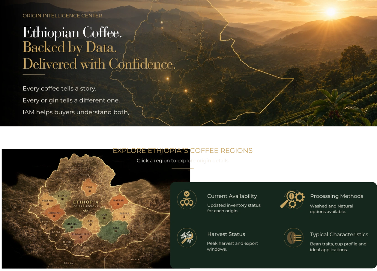 Ethiopian coffee regions map with data on availability, harvest, processing, and characteristics.
