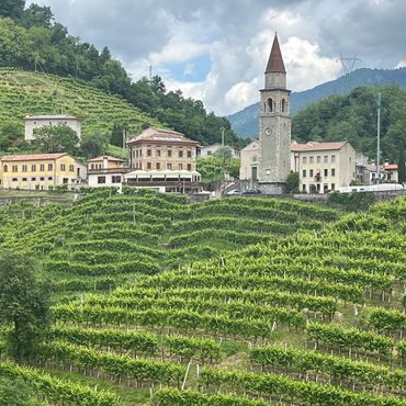 Scenic view of a village with vineyards and a tall church tower under a cloudy sky.