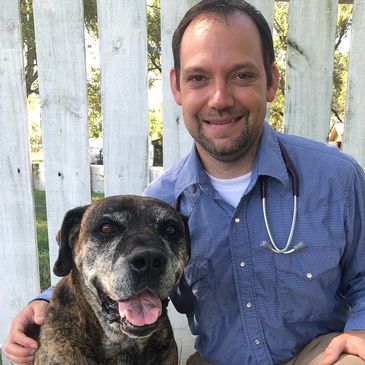 Smiling veterinarian and his dog, stethoscope 