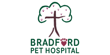 Bradford Pet Hospital logo, christian veterinarian