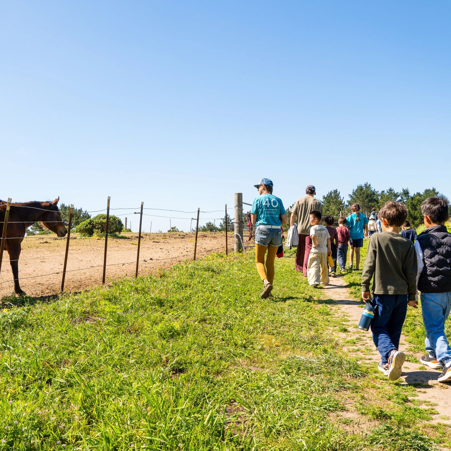 A group of people walking along a path beside a fenced horse pasture.