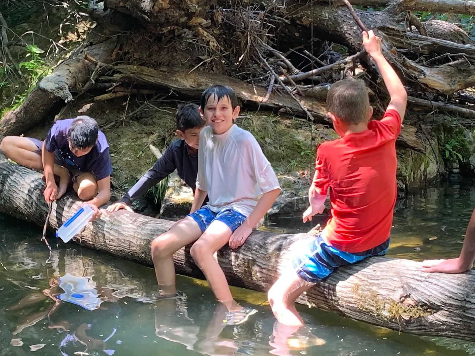 Children sitting on a log by a creek, playing and exploring nature.