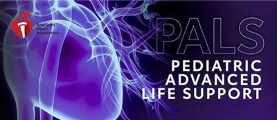 Image of American Heart Association Pediatric Advanced Life Support.