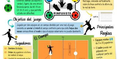 Infographic explaining the rules and gameplay of Pinfuvote.